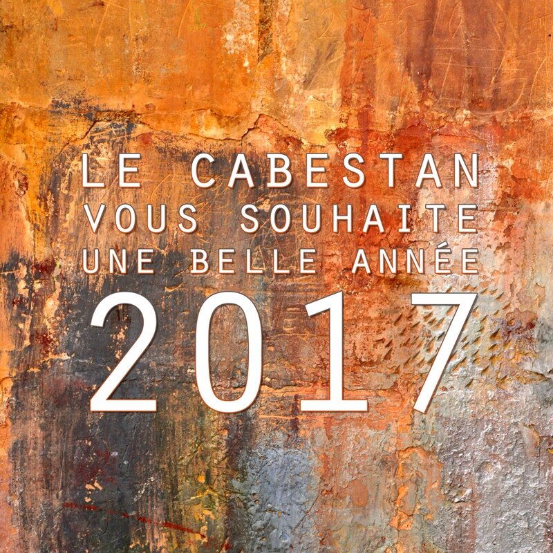 Voeux 2017