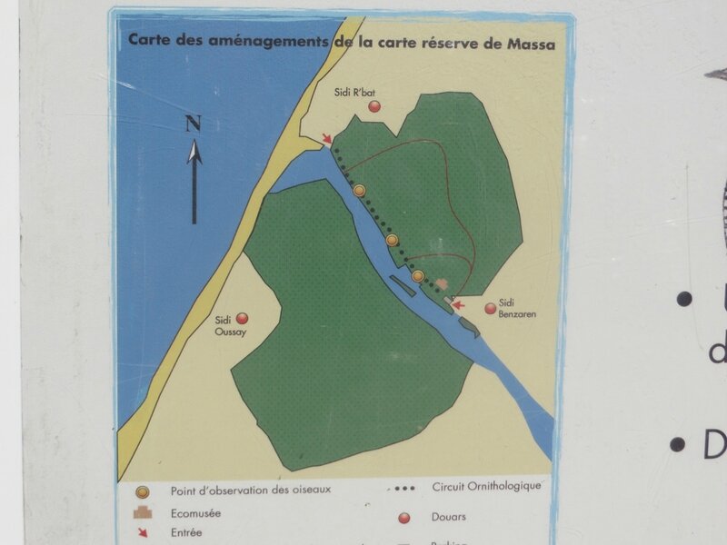 Oued Massa (13)