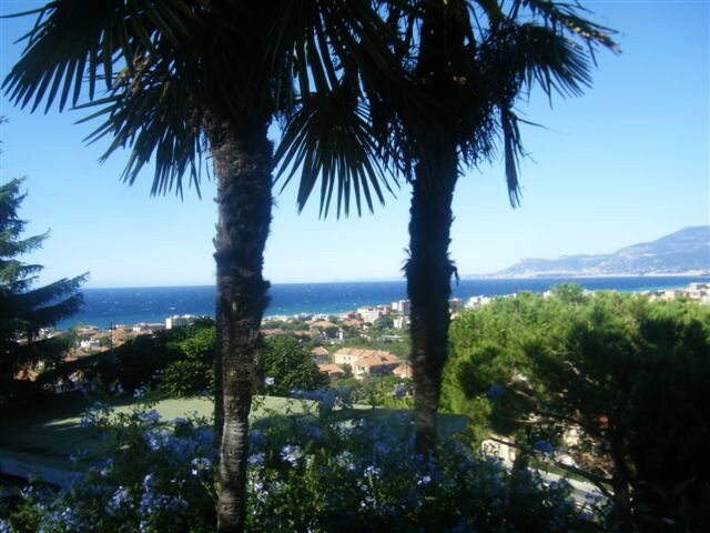 Panorama dal Cedro (1)