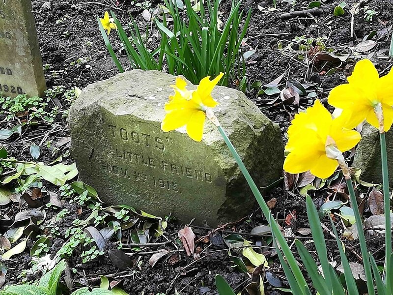 Bath 3 cimetière chiens-mars 2020