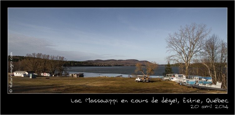 IMG_2112-naturelimages.com