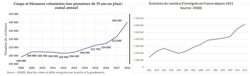 evolution_coups_et_blessures_immigration-1024x312 COURBE