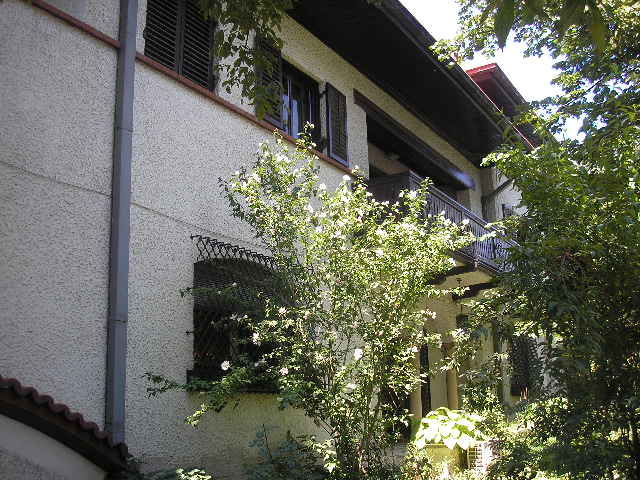 P7150332
