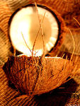 250px_Coconut_art_06