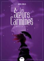 152 - Les soeurs Carmines -2 belle de gris