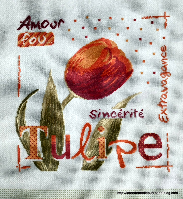 torchon-tulipe-cadre