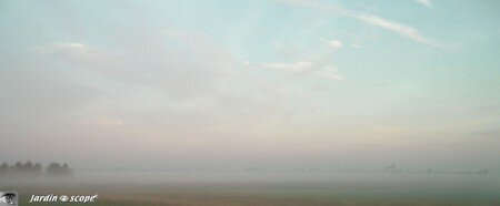 Brouillard_matinal