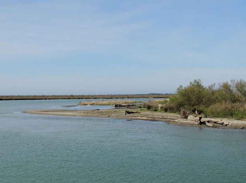 Croisière sur le petit Rhône