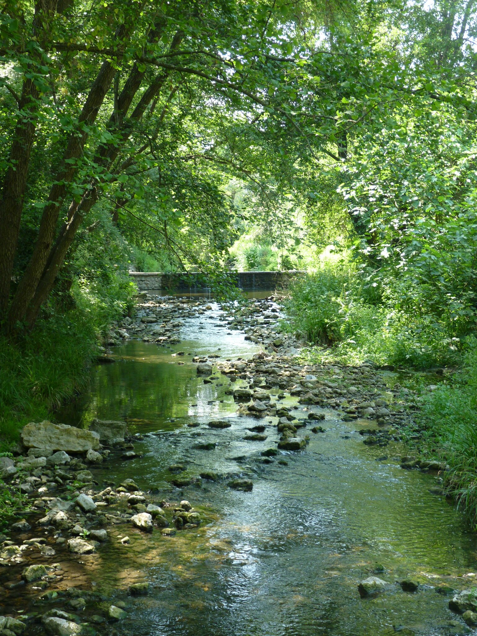 P1060886