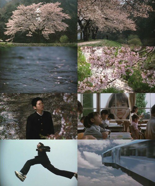 taste_of_tea4