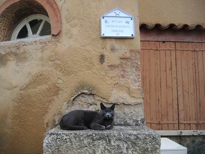 Moustiers-Sainte-Marie, chat et ruelle