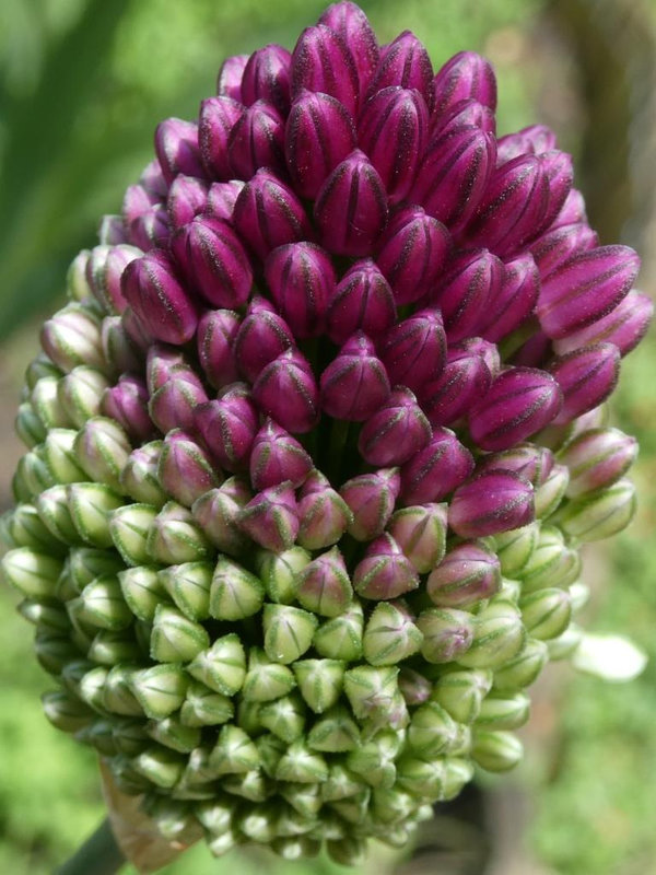 P1030354