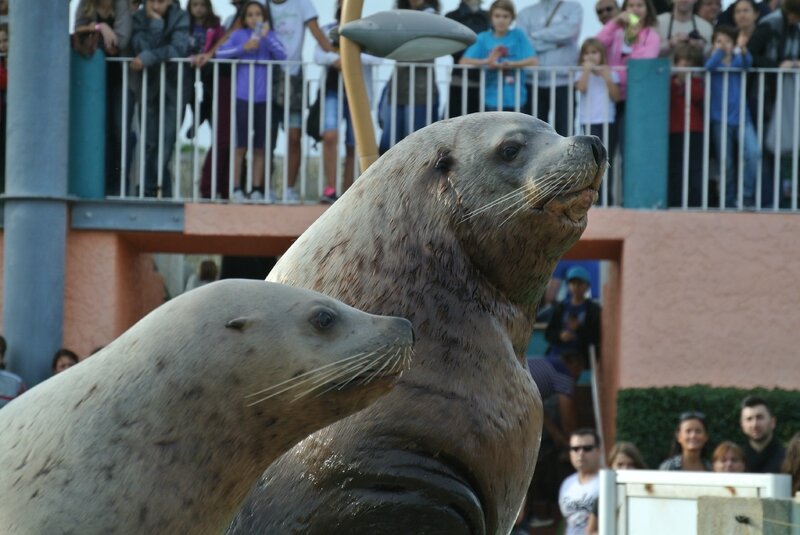 marineland et monaco 184