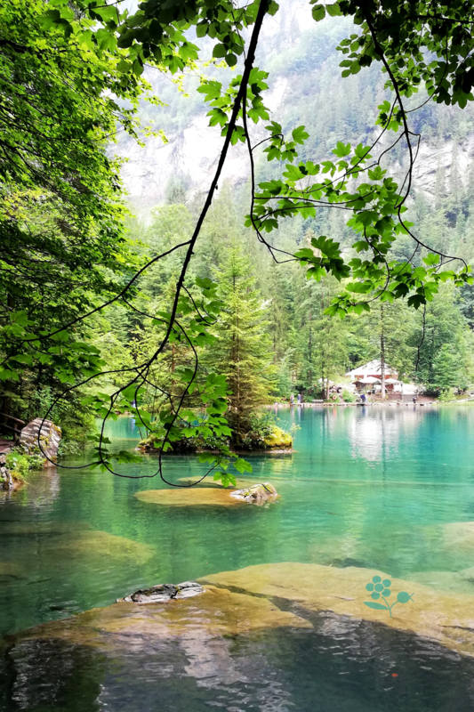 SUISSE_Blausee_2