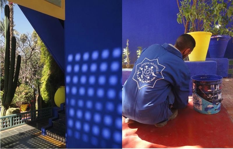 majorelle3