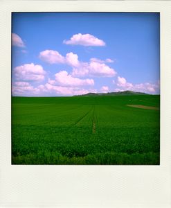 Bord_Allier_24_avril_2006_003_pola