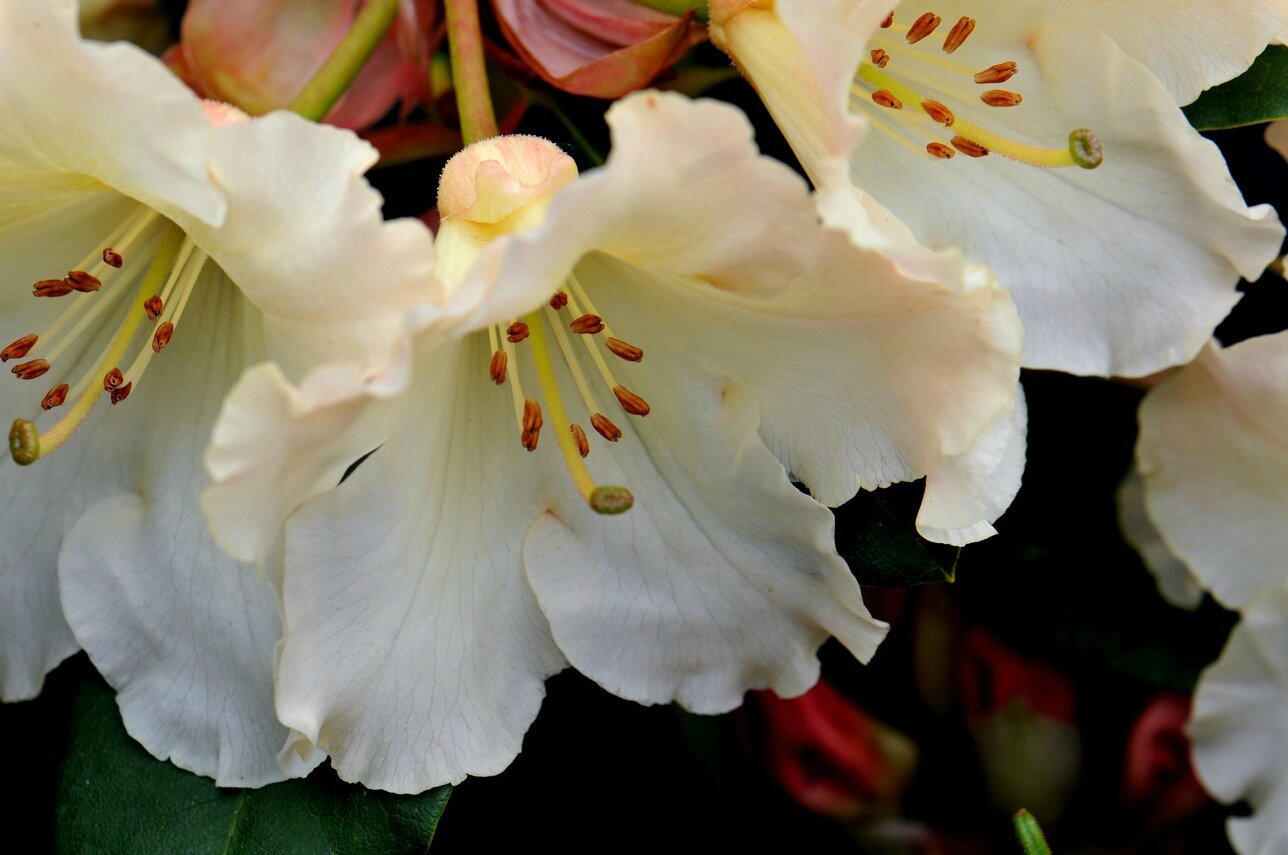 HD3_5943-1