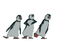 pingouins_anim