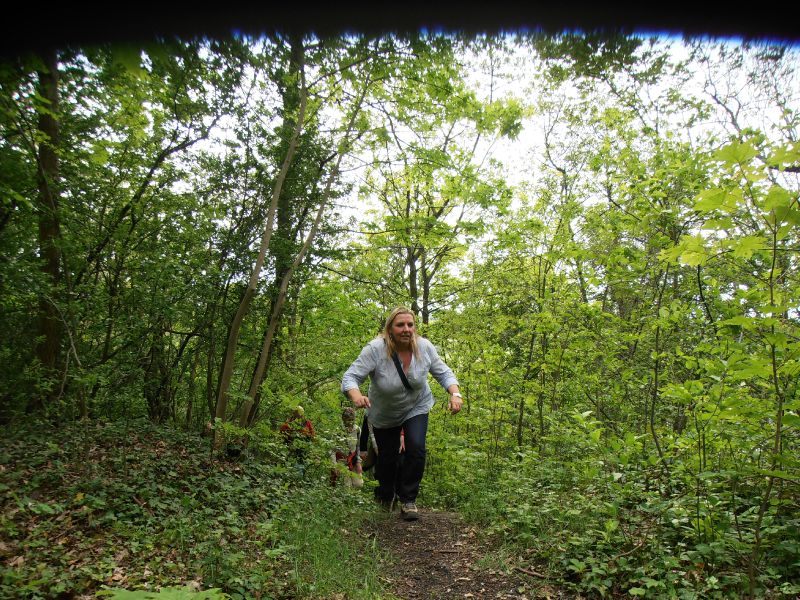 160 - Terril du 6 Hornu-Wasmes - escalade