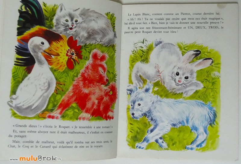LE-PETIT-LAPIN-AU-NEZ-MAGIQUE-4-muluBrok-Livre-ancien
