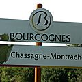 <b>Vendanges</b> 2011 en Bourgogne