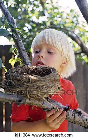 enfant-examiner-nid-oiseau-image__kj11384