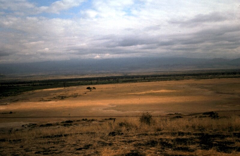 amboseli paysage h