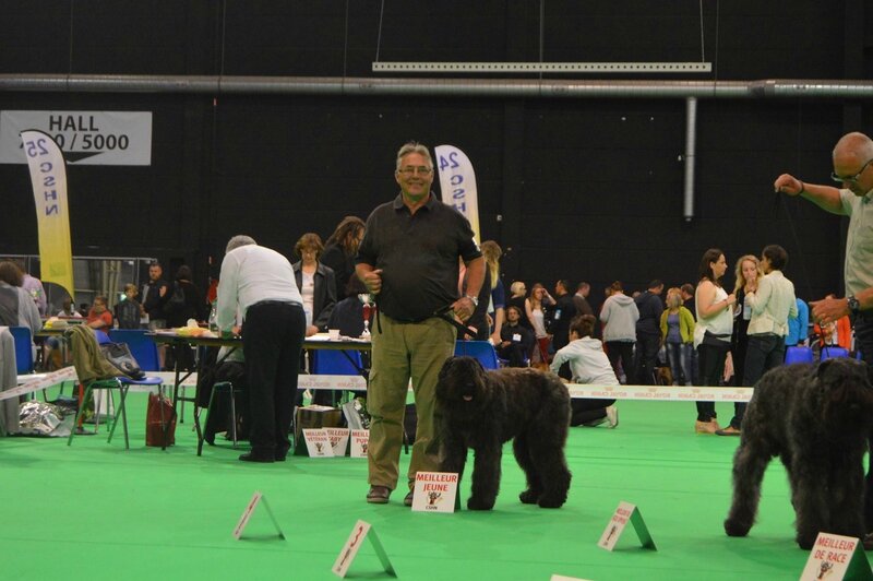Joyce de la Dullague meilleur jeune à l'expo canine de DOUAI 