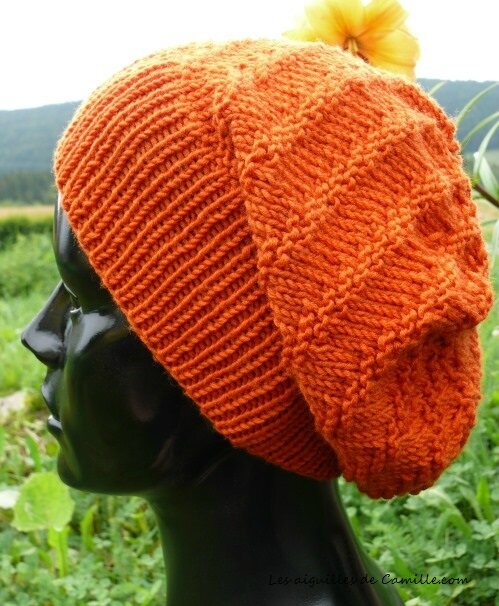 Bonnet Vitamine, profil 1