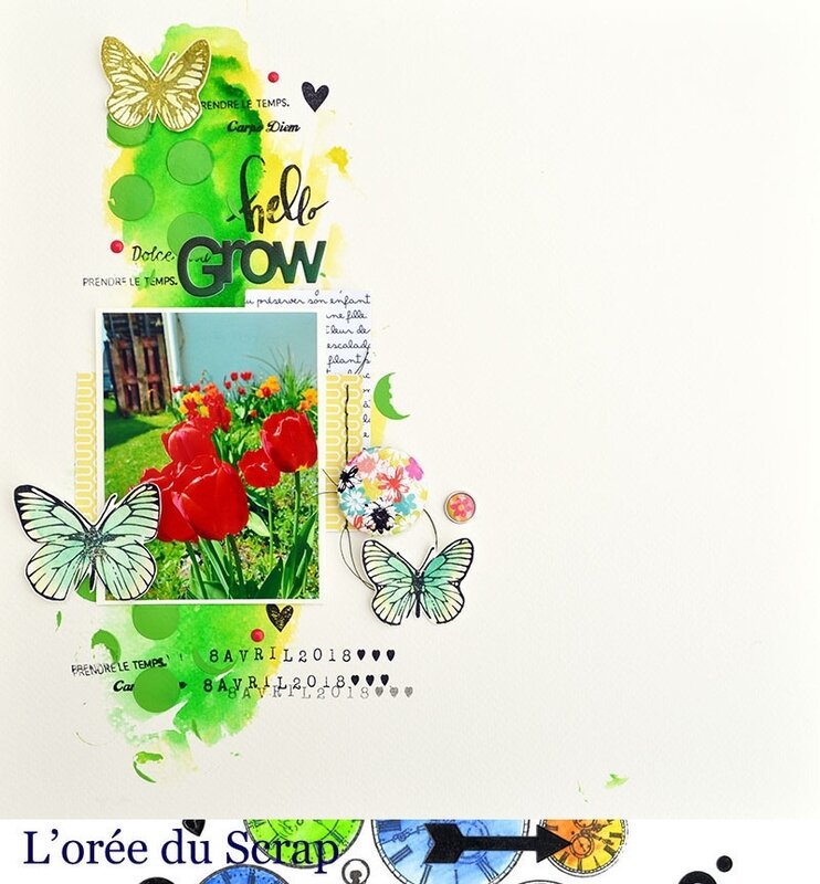 15 - Blogorel