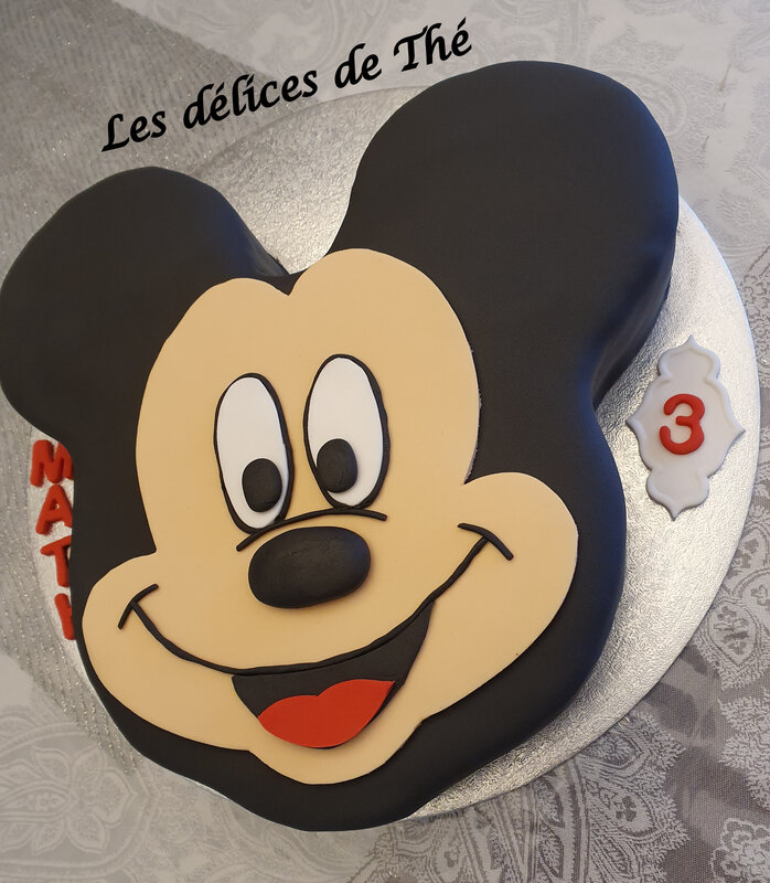 Mickey 2D 08 11 19 (27)