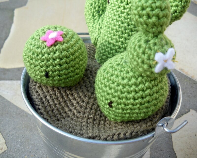 Cactus crochet (8)