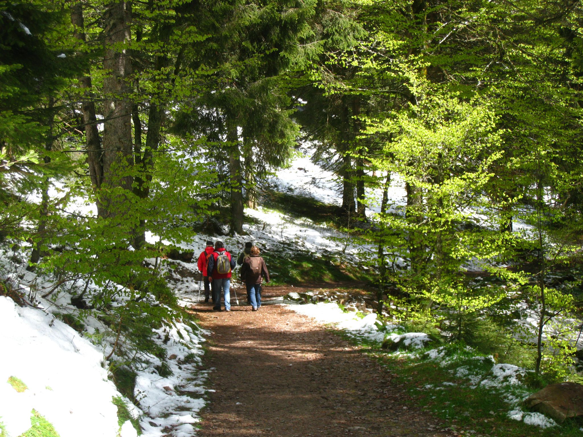 Rando Lac des Truites_23