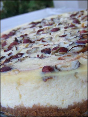 Cheesecake_marbr__a_la_courge_001ok