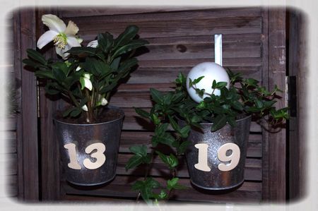 calendrier_plantes_015_modifi__1