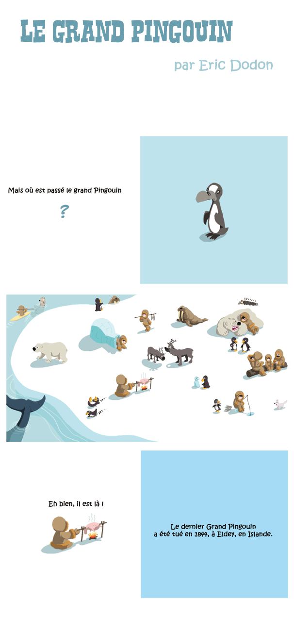 pingouin-montage