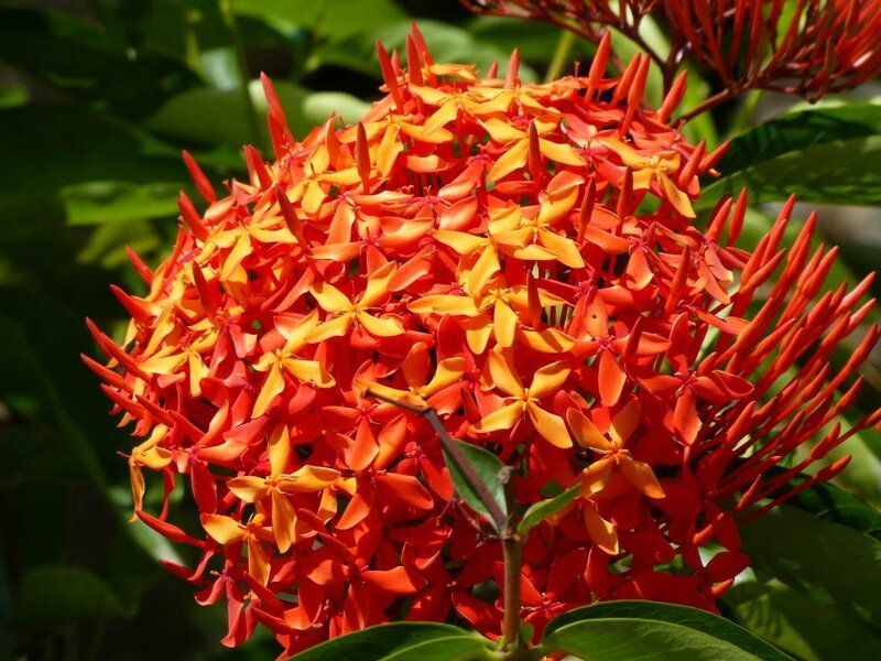 P1230865