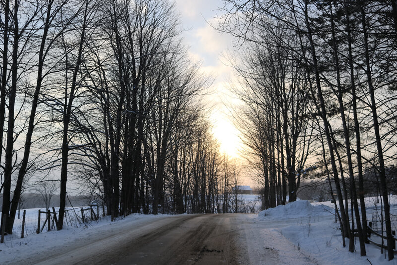 IMG_8365-1