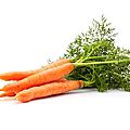 Pain de <b>carottes</b> aux oignons