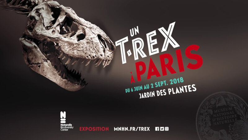trex