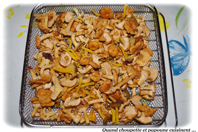 Chanterelles en tubes-8255