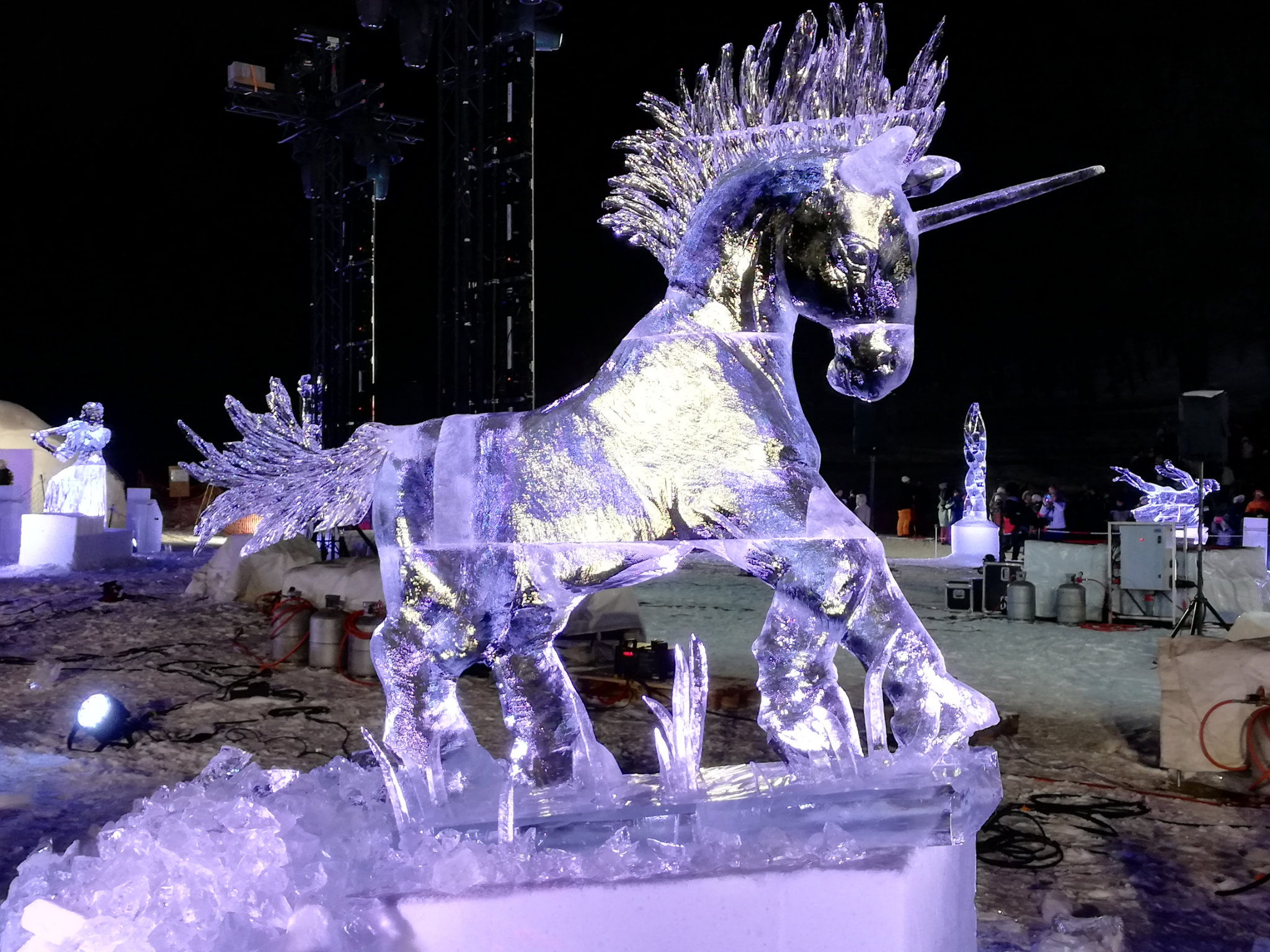 20 Concours sculpture sur glace