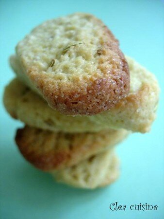 biscuitsfenouil2