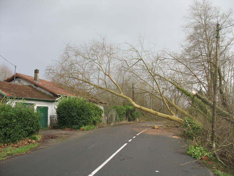 Dax, tempête Klaus, 2009