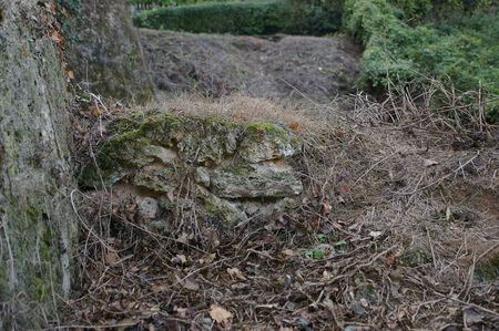 IMGP0498