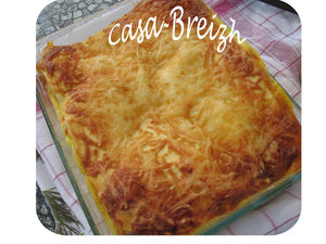 lasagnes_carotte__8_