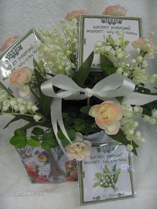 MUGUET