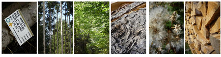 notre_environnement