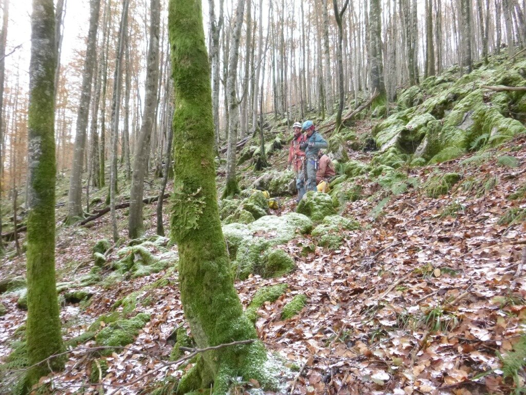 P1010760