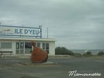 Noirmoutier_samedi_13_sept_08_037